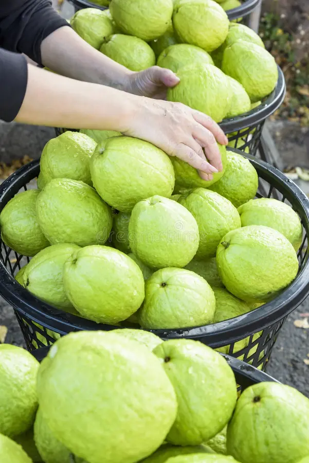 Guavas