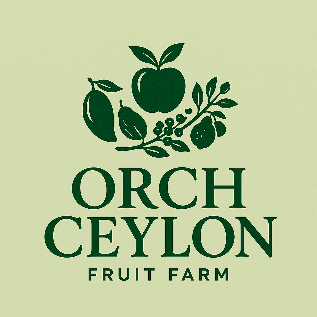 Orch Ceylon Logo